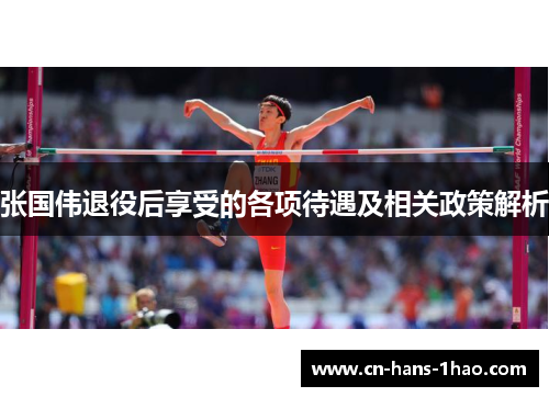 张国伟退役后享受的各项待遇及相关政策解析