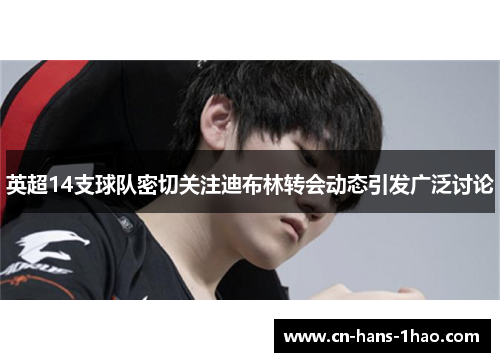 英超14支球队密切关注迪布林转会动态引发广泛讨论