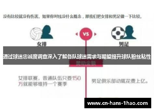 通过球迷忠诚度调查深入了解各队球迷需求与期望提升球队粉丝粘性